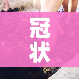 冠状病毒分为几类（冠状病毒的分类）