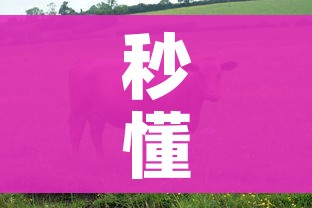 秒懂百科“微信牛牛群房卡”购买房卡介绍
