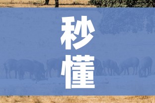 秒懂百科“微信房卡斗牛牛有挂吗”详细房卡教程 秒懂百科“微信房卡斗牛牛有挂吗”详细房卡教程