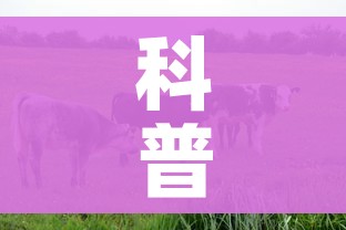 科普一下“微信牛牛群房间卡如何购买”链接房卡在哪里获取 科普一下“微信牛牛群房间卡如何购买”链接房卡在哪里获取