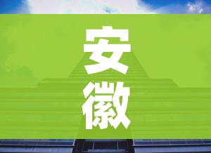 安徽省亳州市/安徽省亳州市涡阳县 安徽省亳州市/安徽省亳州市涡阳县
