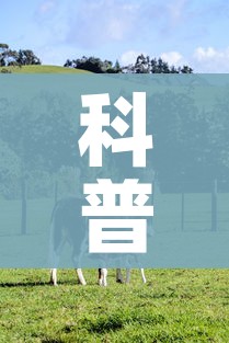 【杭州景区单双号限行,杭州景区单双号限行时间及规定】