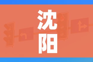 沈阳一地调整为高风险地区（沈阳高风险区是哪个区）