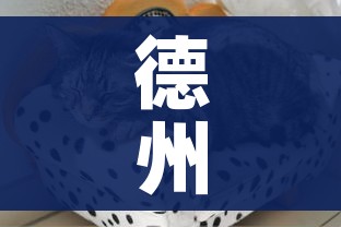 德州疫情最新动态:德州疫情消息