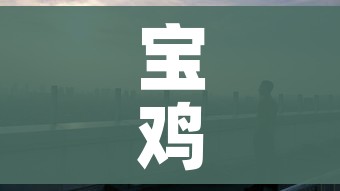 宝鸡市最新疫情/宝鸡市最新消息