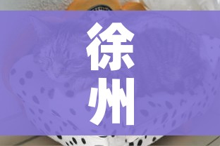 徐州疫情最新动态（徐州疫情最新动态今天）