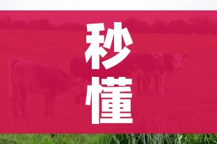分享实测“微信斗牛房卡购买渠道”轻松获取房卡全渠道