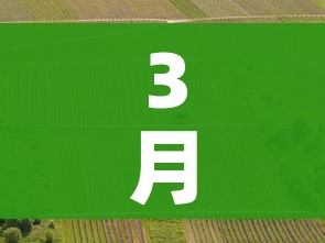 分享实测“微信斗牛房卡购买渠道”轻松获取房卡全渠道