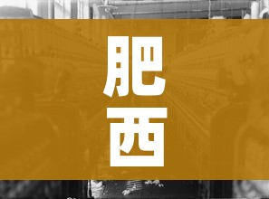 肥西疫情:肥西疫情行动轨迹 肥西疫情:肥西疫情行动轨迹