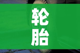 轮胎规格怎么看/轮胎规格怎么看生产日期 轮胎规格怎么看/轮胎规格怎么看生产日期