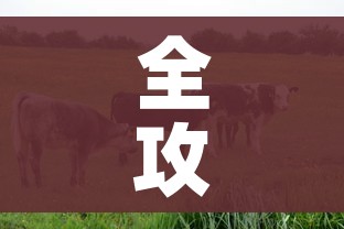 全攻略普及“微信牛牛群房卡”房卡详细充值