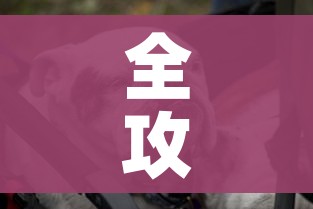 全攻略普及“微信牛牛群斗牛群”详细房卡教程