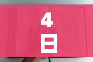 4日福建疫情速报/福建疫情4例 4日福建疫情速报/福建疫情4例
