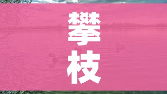 攀枝花疫情(攀枝花疫情防控中心) 攀枝花疫情(攀枝花疫情防控中心)