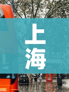 上海外地车牌限行时间2020/上海外地车牌号限行时间