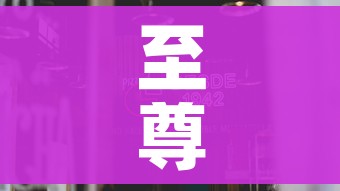 至尊外挂/至尊辅助 至尊外挂/至尊辅助