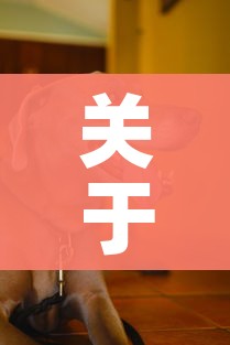 关于山东一感染者白天救狗晚上卖狗的信息