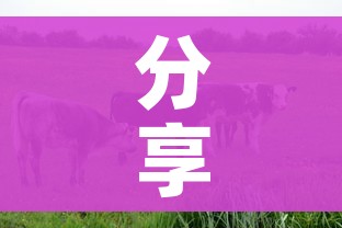 分享实测“微信牛牛群房间卡如何购买”链接房卡在哪里获取 分享实测“微信牛牛群房间卡如何购买”链接房卡在哪里获取