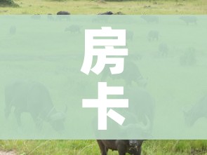 房卡必备教程“微信牛牛群斗牛群”详细房卡怎么购买教程