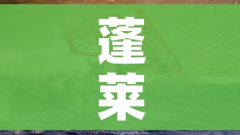 蓬莱疫情:蓬莱疫情最新通报今天 蓬莱疫情:蓬莱疫情最新通报今天