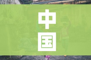 中国疫情重灾区/中国疫情重大灾区