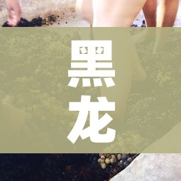 黑龙江新型冠状病毒（黑龙江 新型冠状病毒）