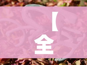 【全国防疫最新动态,全国防疫最新动态查询】 【全国防疫最新动态,全国防疫最新动态查询】
