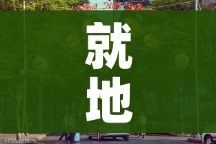 就地过年:就地过年周边游 就地过年:就地过年周边游