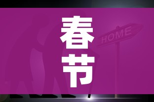 春节回家/春节回家过年 春节回家/春节回家过年