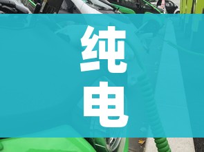 纯电动汽车（纯电动汽车几年年检一次）