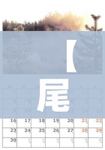 【尾号限行2024年1月,2021年尾号限行时间】