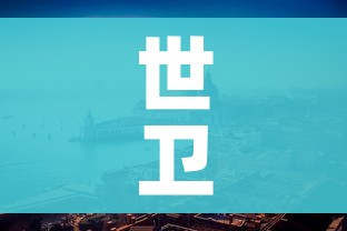 世卫组织专家组到达意大利/世卫组织 意大利