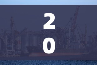 2024年3月新冠高峰/2020新冠下半年