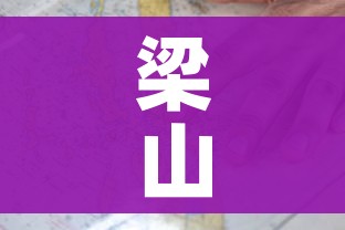 梁山疫情/梁山疫情村庄负责人