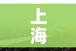 上海:非必要不离沪:上海非必要不离沪文件 上海:非必要不离沪:上海非必要不离沪文件