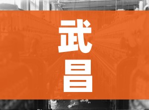 武昌疫情/武昌疫情严重不今日 武昌疫情/武昌疫情严重不今日