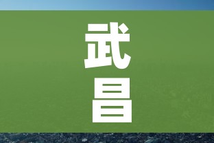 武昌疫情/武昌疫情严重不今日 武昌疫情/武昌疫情严重不今日