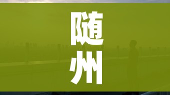 随州市疫情（随州市疫情防控什么时候解除）