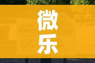 微乐家乡麻将下载/龙江微乐家乡麻将下载