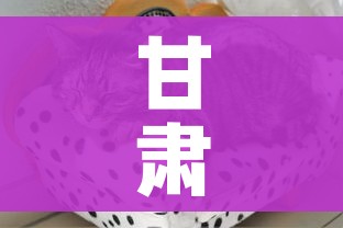 甘肃兰州疫情最新动态/甘肃兰州疫情最新动态消息