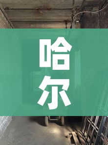 哈尔滨平房区发现2例阳性感染者(哈尔滨平房确诊轨迹) 哈尔滨平房区发现2例阳性感染者(哈尔滨平房确诊轨迹)