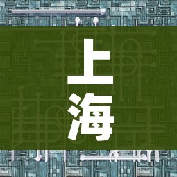 上海疫情数据创新高意味着什么?/上海新冠肺炎数据 上海疫情数据创新高意味着什么?/上海新冠肺炎数据