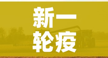新一轮疫情已波及18省31市/新一轮疫情波及11省