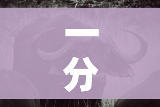 一分钟介绍使用“微信牛牛群斗牛群”房卡怎么购买 一分钟介绍使用“微信牛牛群斗牛群”房卡怎么购买
