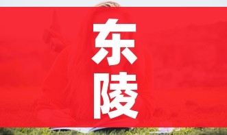 东陵大盗5电影:东陵大盗电影五六集 东陵大盗5电影:东陵大盗电影五六集