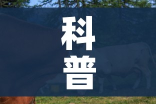 正国级工资标准表2022:正国级工资标准表2024 正国级工资标准表2022:正国级工资标准表2024