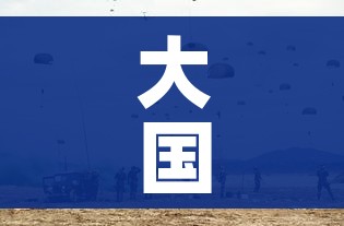 大国战疫/大国战疫怎么不卖了