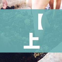 【上海新型冠状病毒/上海新型冠状病毒最新情况】