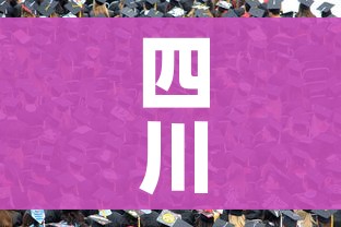 四川大学毕业生就业网:四川大学 就业中心