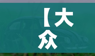 【大众小型suv,大众小型suv价格】